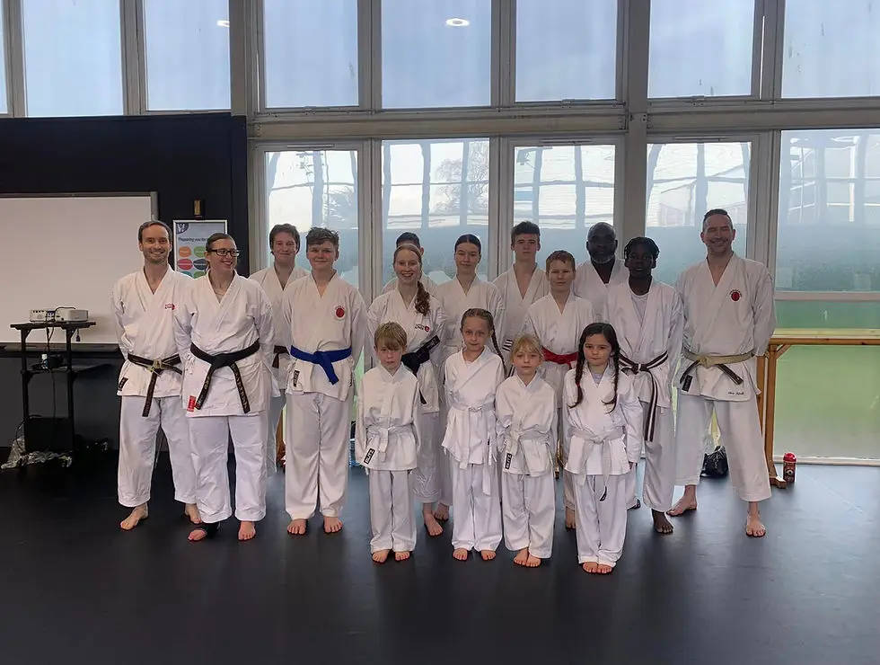 Inspire Karate Academy