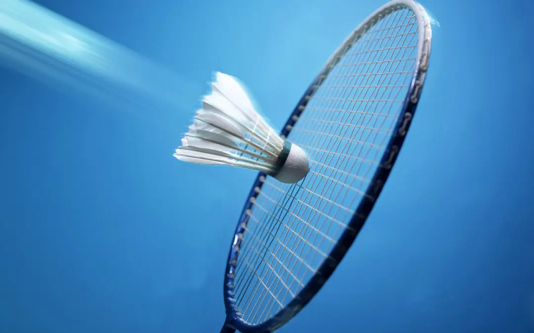 Phoenix Badminton Club