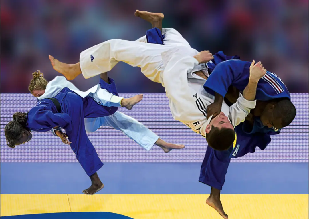Avenir Fonsorbais Judo