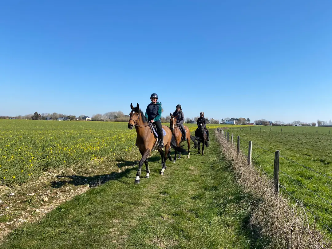 Area Equestrian Étretat