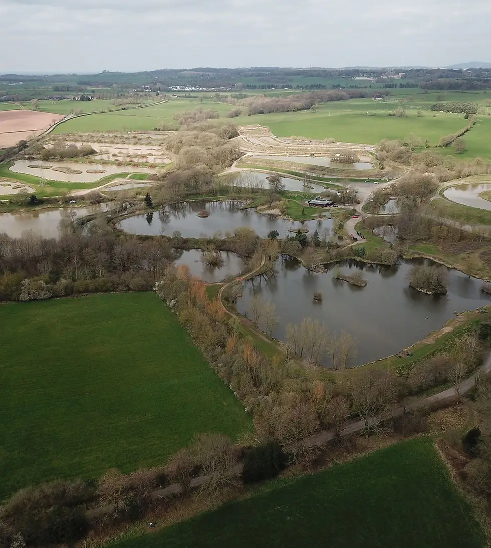 Cudmore Fisheries