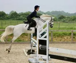 Equistable