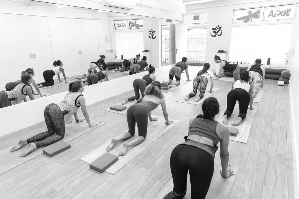 Dragonfly yoga studio