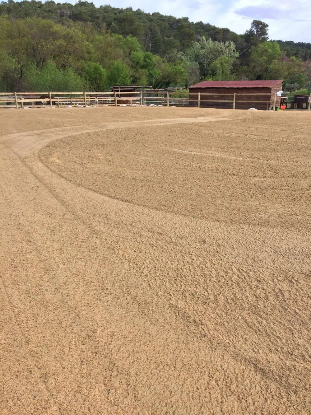 Poney Club A La Ptite Ferme