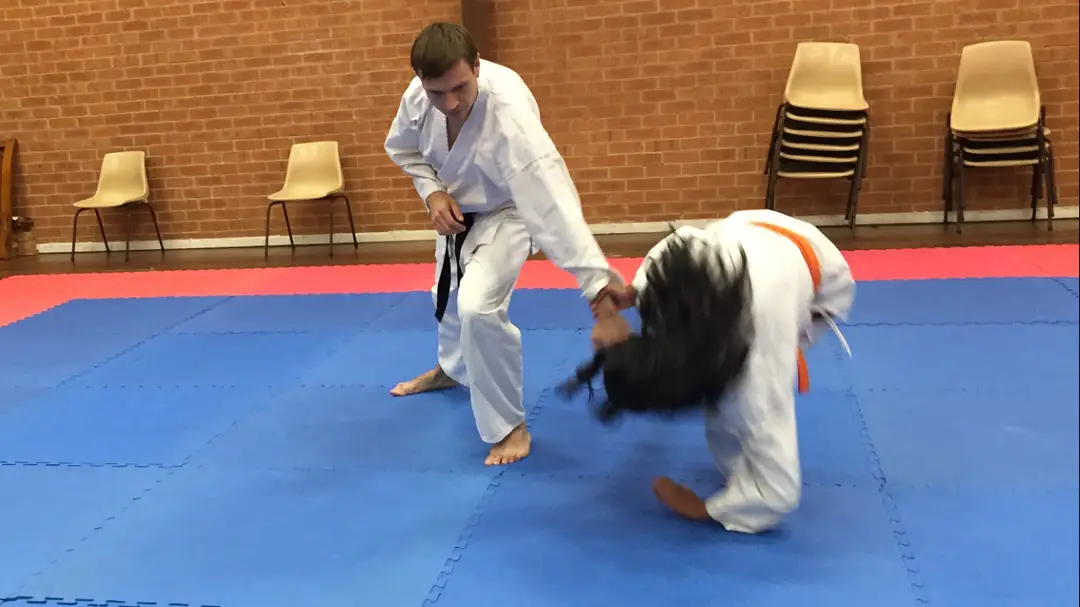 Way of Life Aiki Dojo