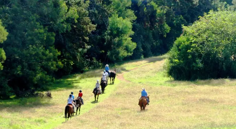 Horse Riding Sydney