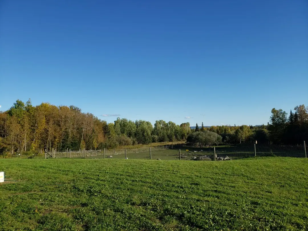 North Winds Farm