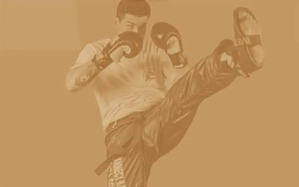 Annecy Karate