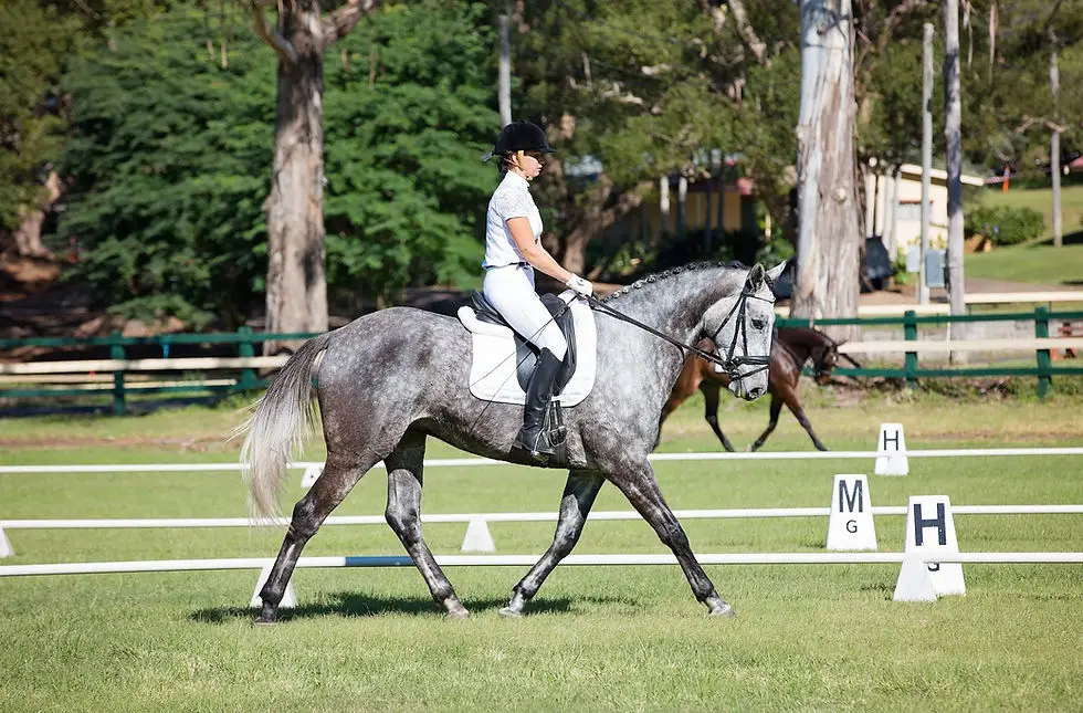 Godwin Equestrian