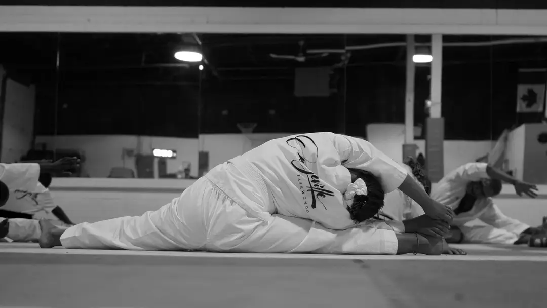 Orangeville Taekwondo