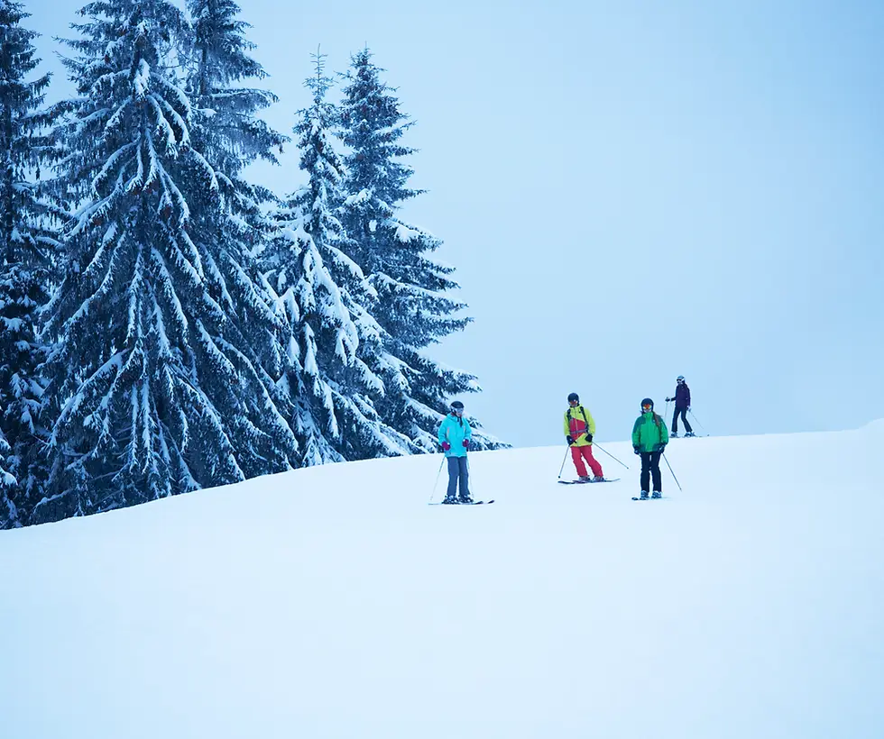 Misery Mountain Ski Area