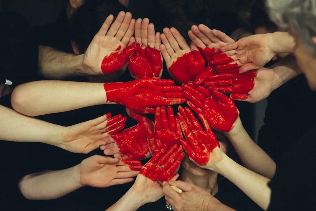 Vivid Psychology & Wellness