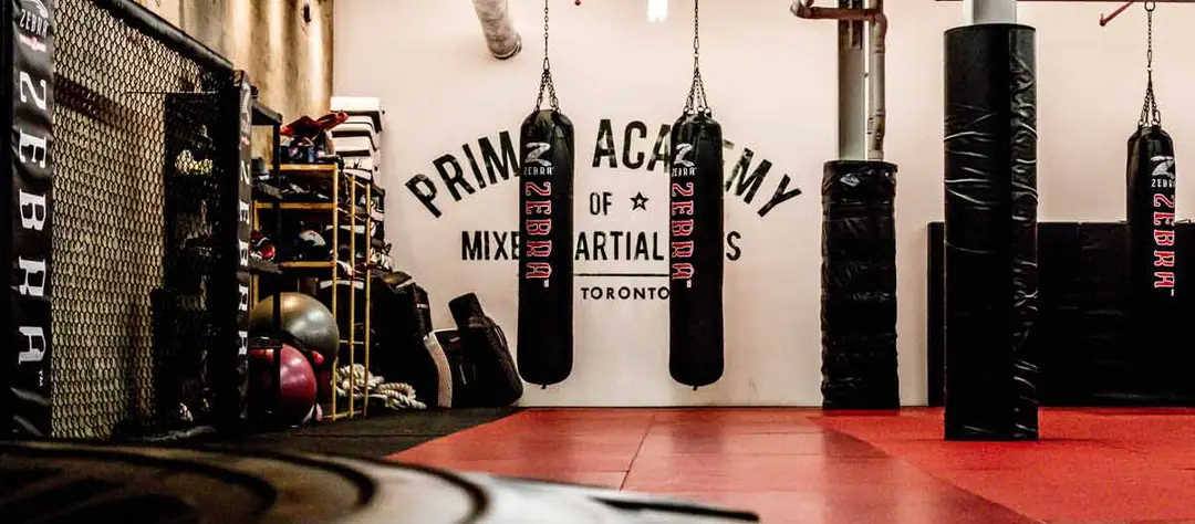 Primal MMA Academy
