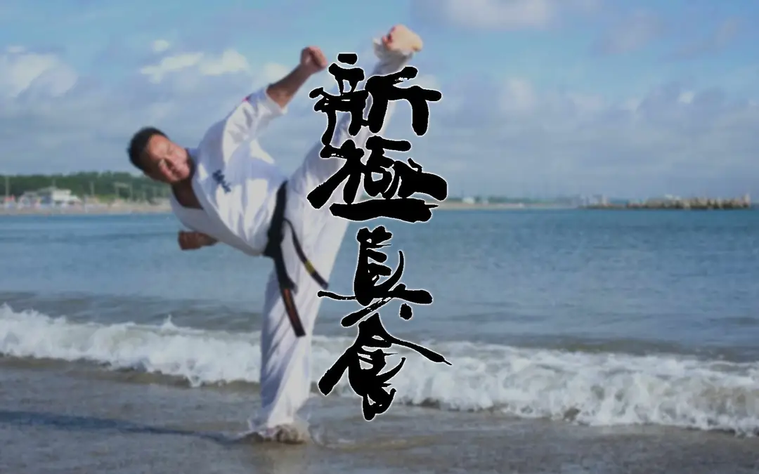 Karat Shinkyokushin Saint-Jrme