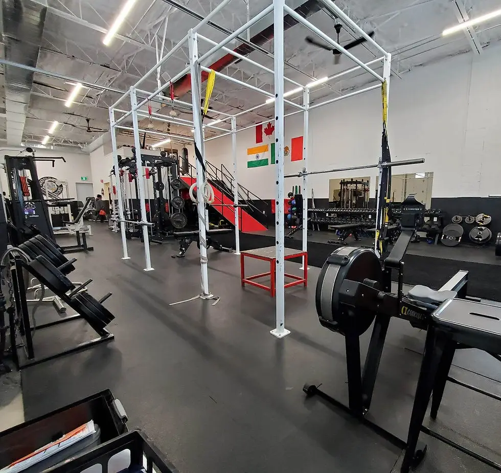 Dynafit University - Harriston