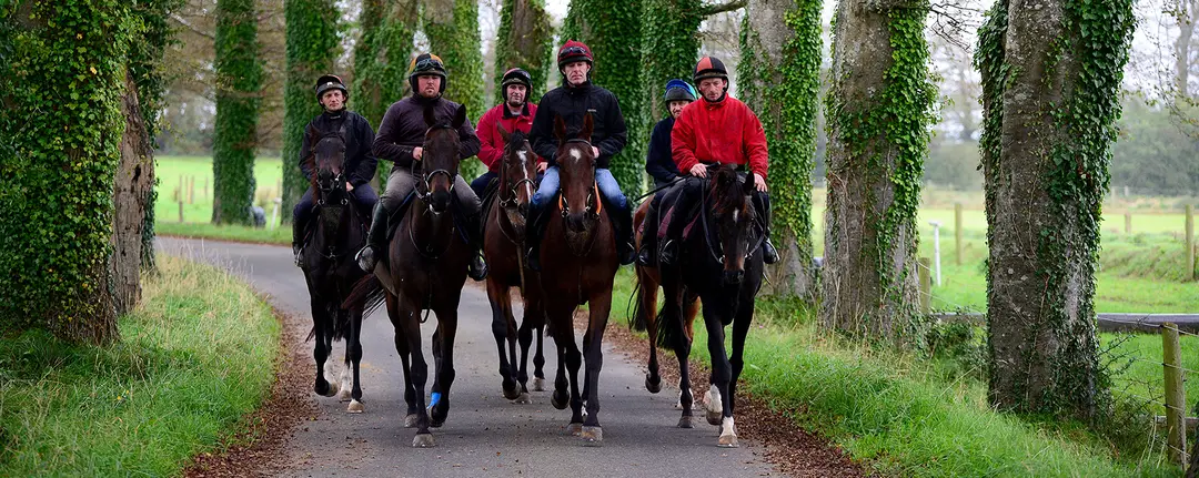 Irish Stable Staff Association Limited