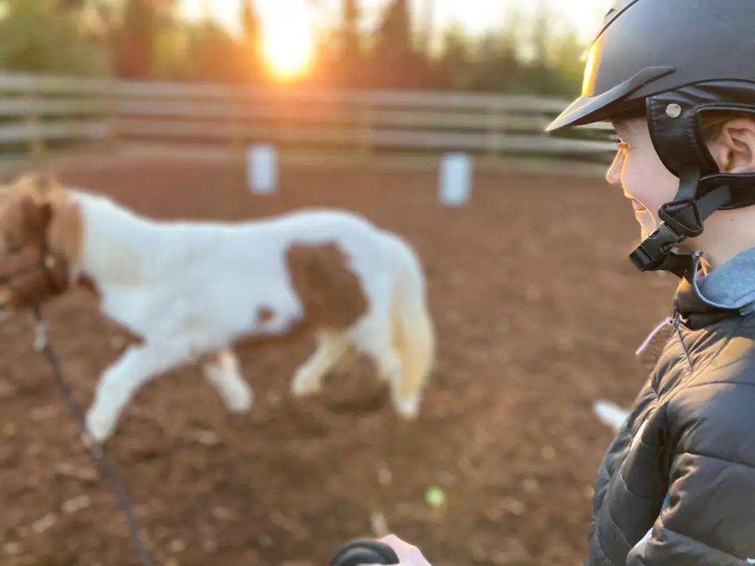 Heart Horse Academy