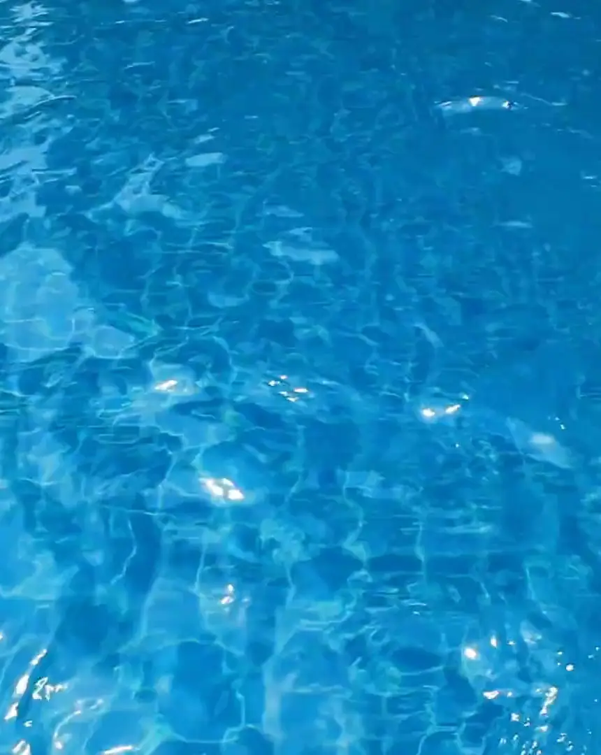 Swim with Style Franchise