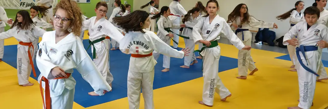 Club Du Taekwondo Val Vert