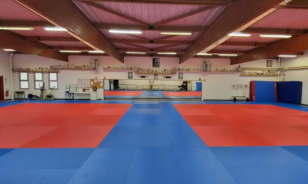 Judo Club at Franconville