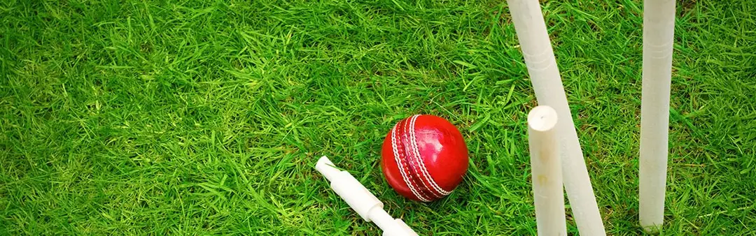 KT Cricket Academy
