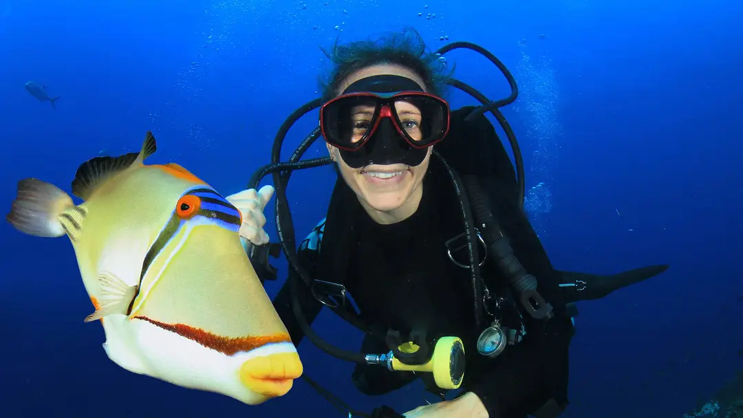 OZDIVE