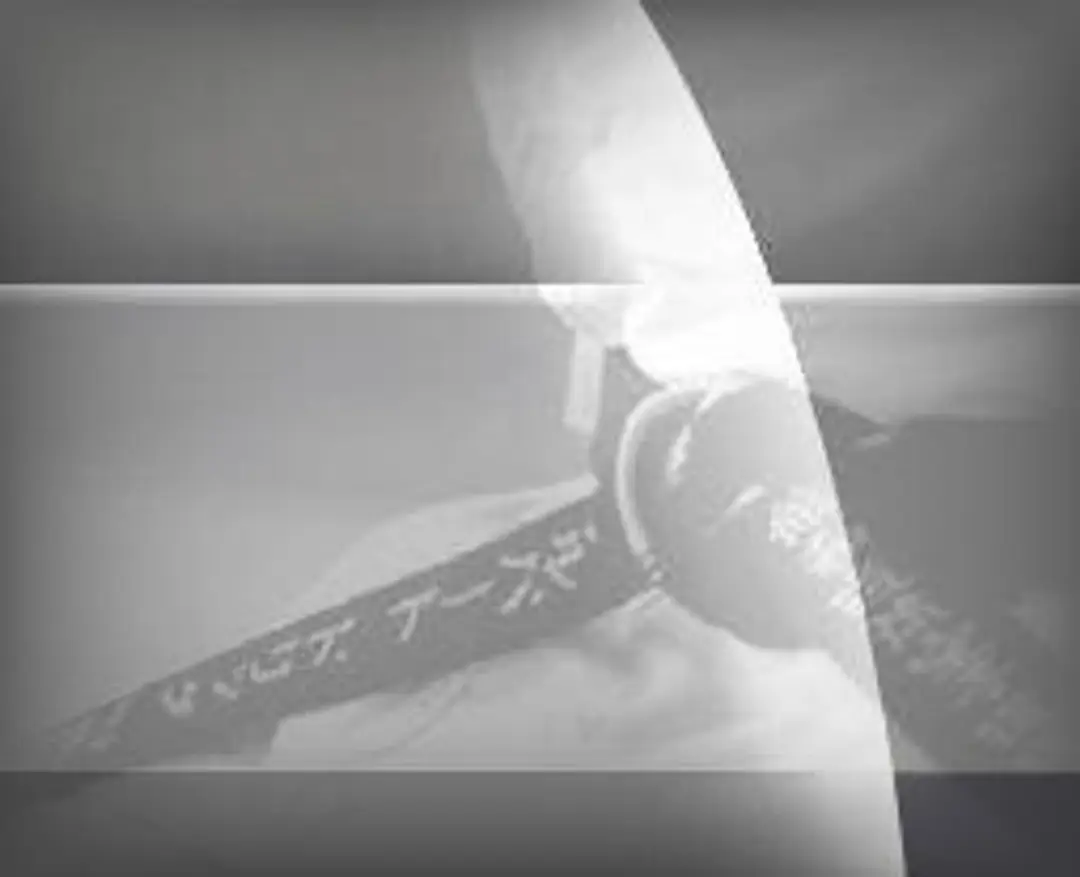 Jishin Karate Academy