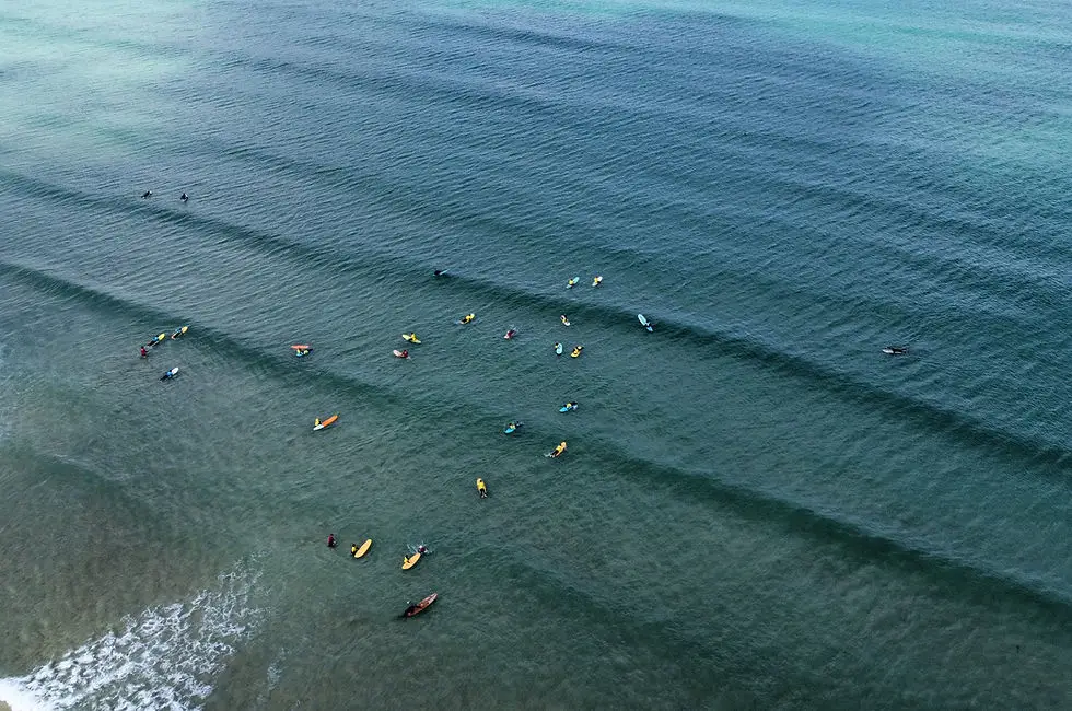 Shore Surf School