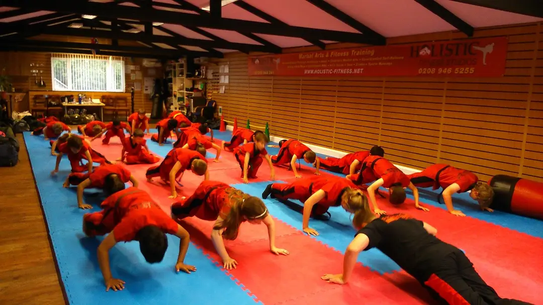 The Holistic Fitness Studios