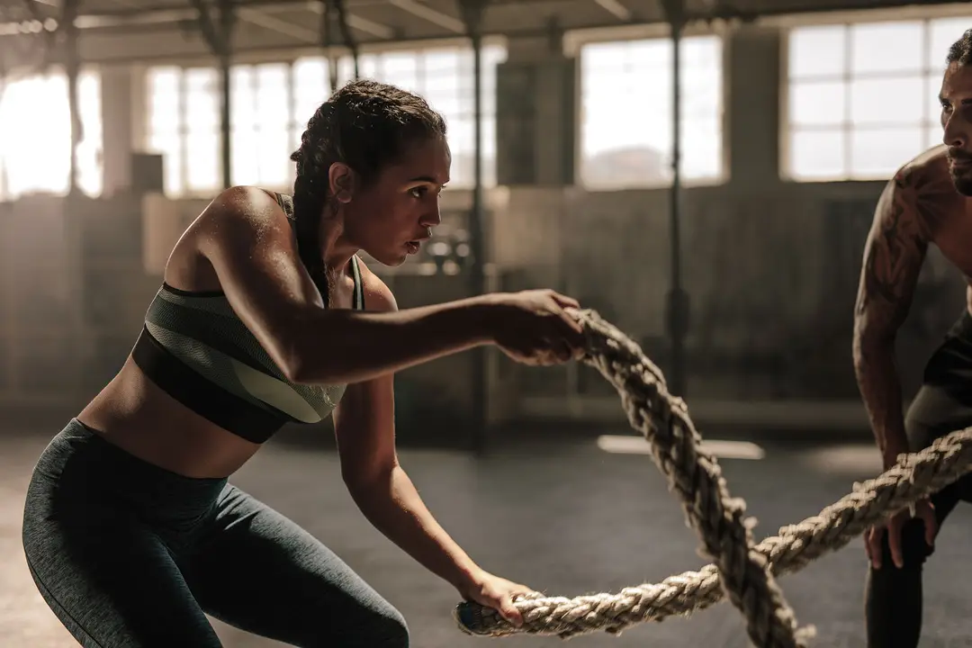 Diverse Fitness Gym - Hook