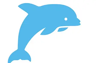T.J Dolphins
