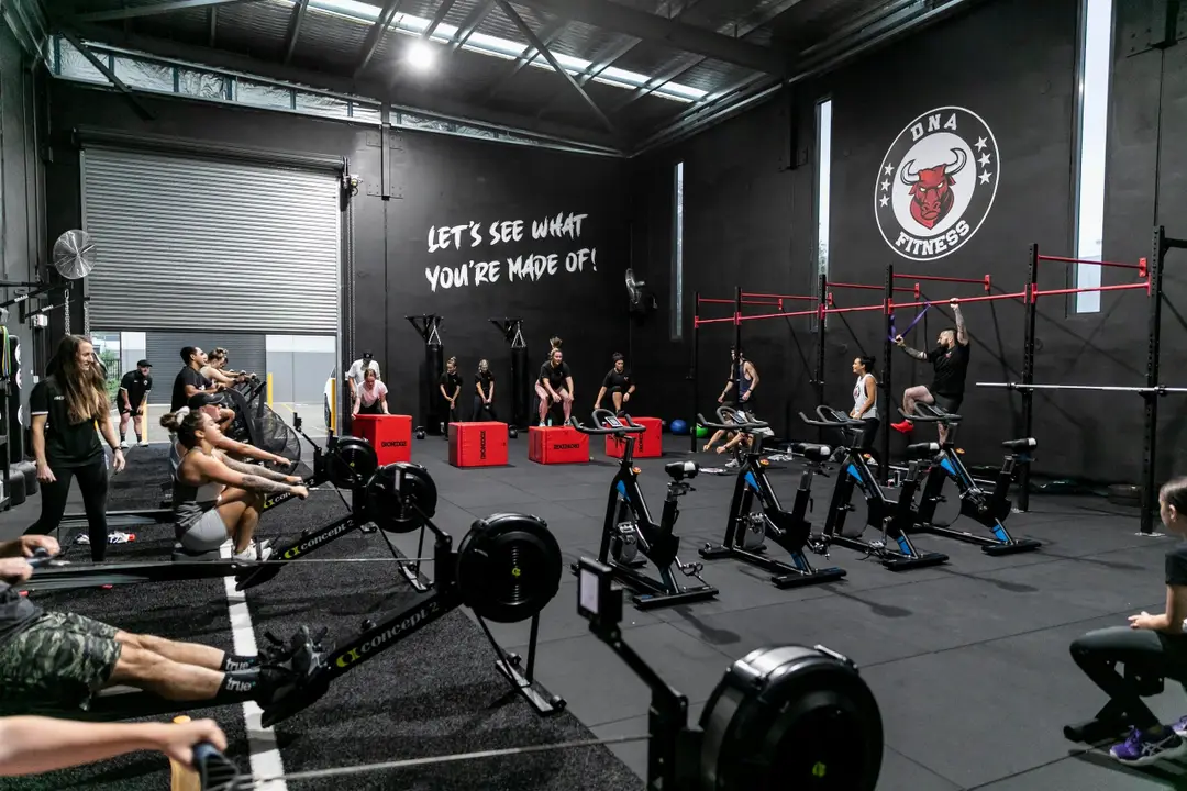 DNA Fitness