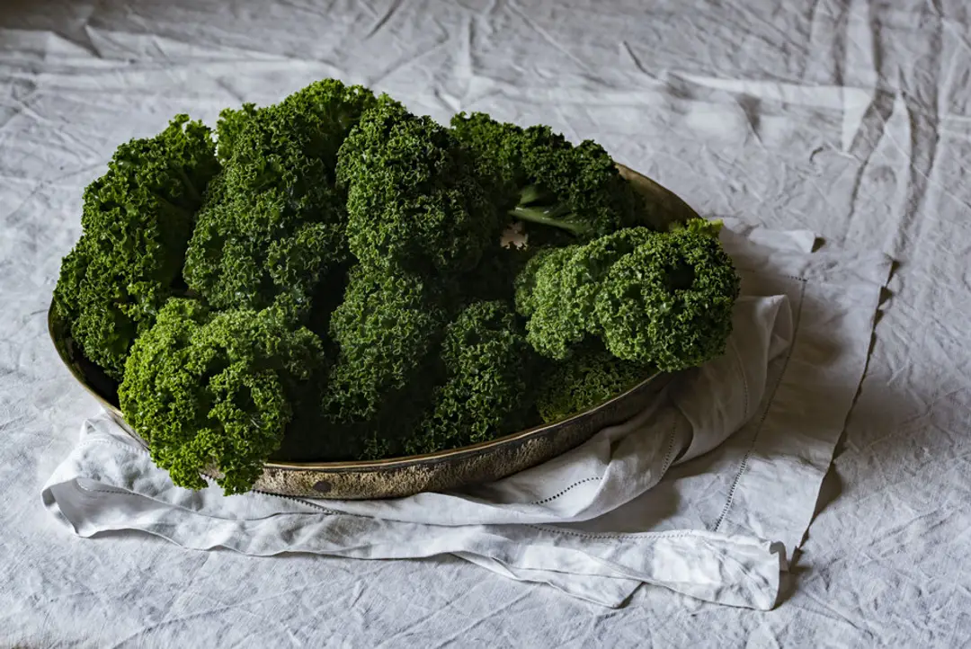 Naturopathe-Pyrenees - Christine Buisan - "Ma Clinique Naturelle"