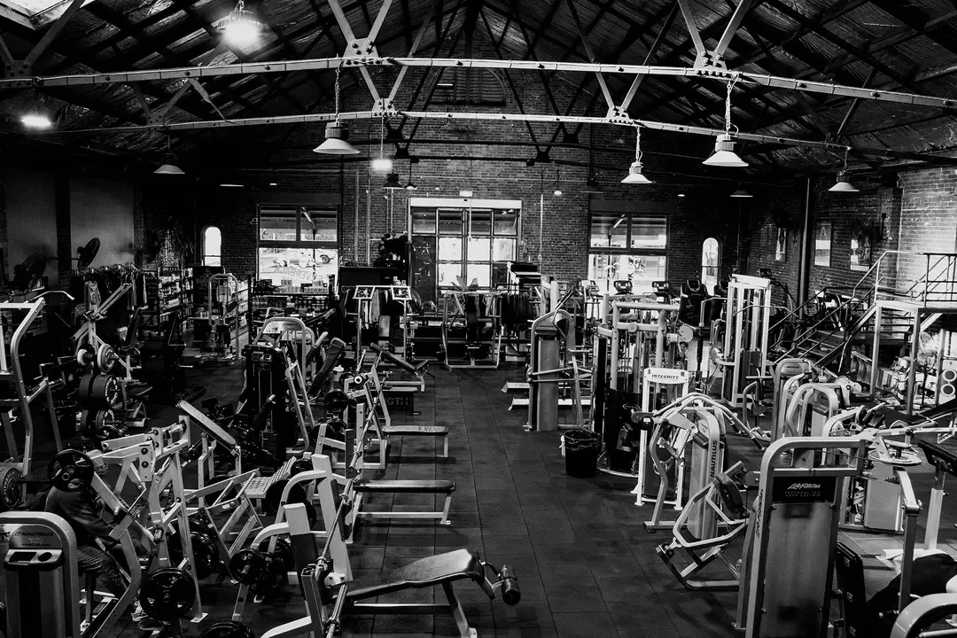 Silverback Strength Gym & Supplements