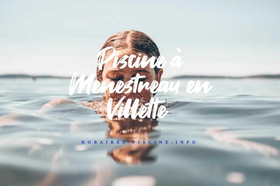 Piscine à Menestreau en Villette