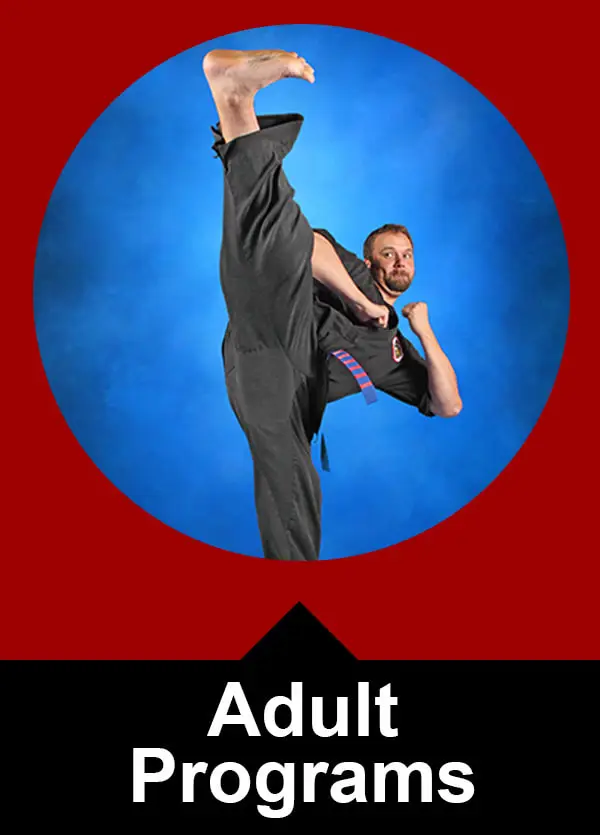 Spirit Of The Dragon Martial Arts School Ltd