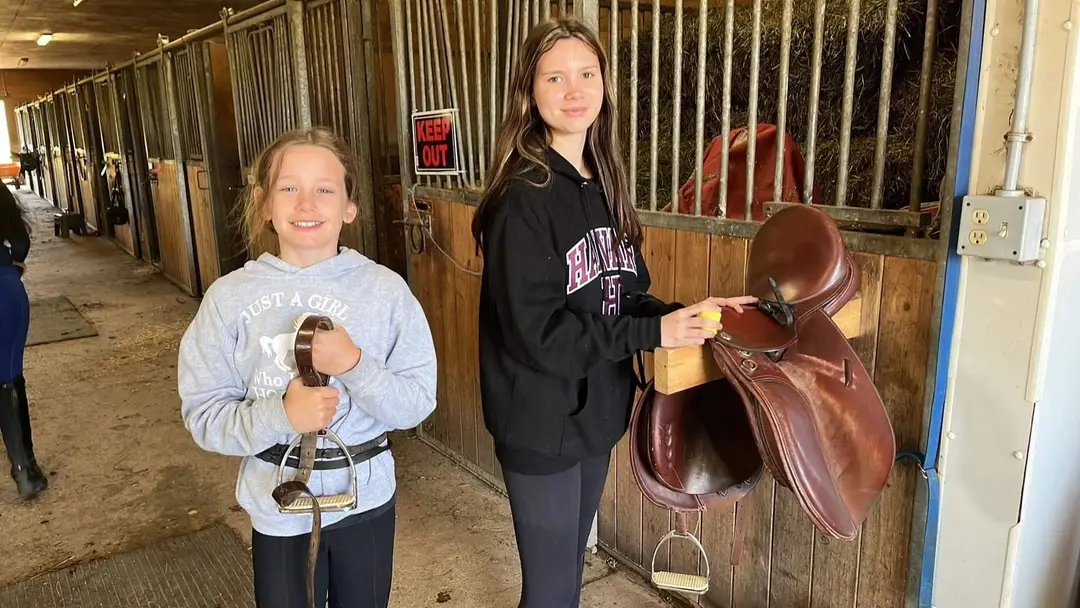 BR Equestrian Services