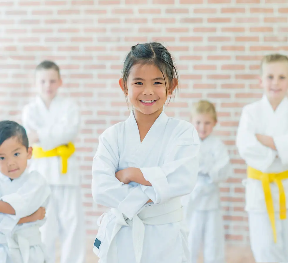 North Devon Karate