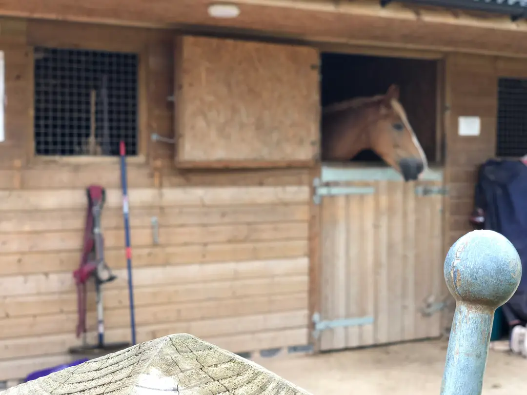 Putley Riding School