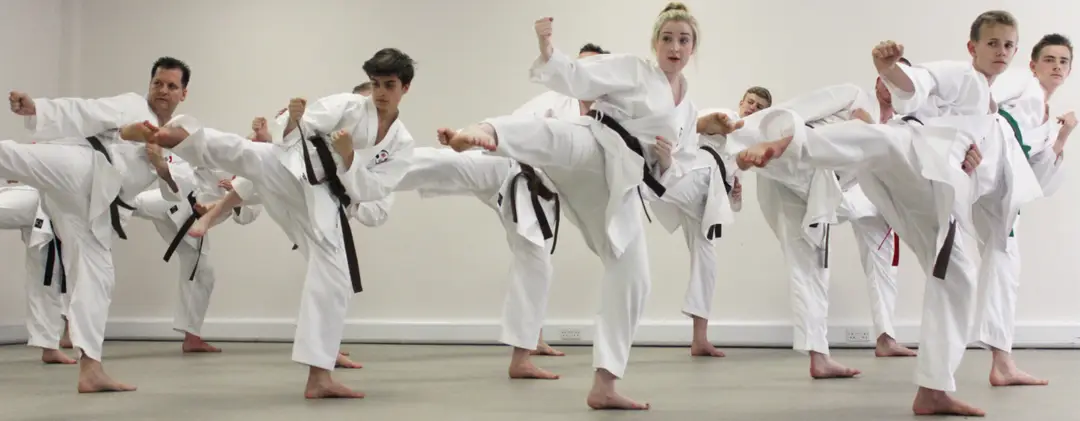Gakusei Karate Springfield