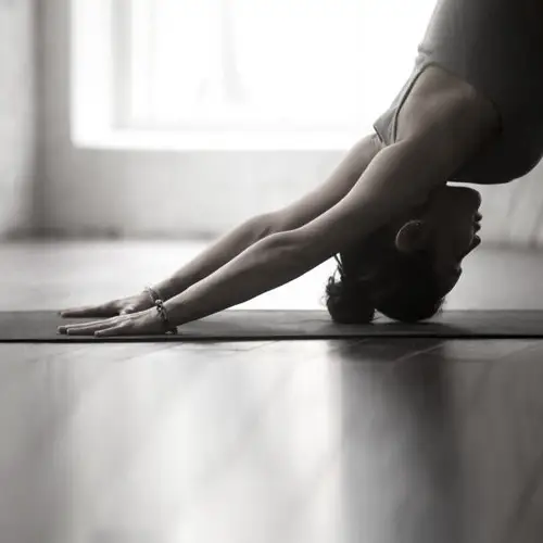 Yogi studio