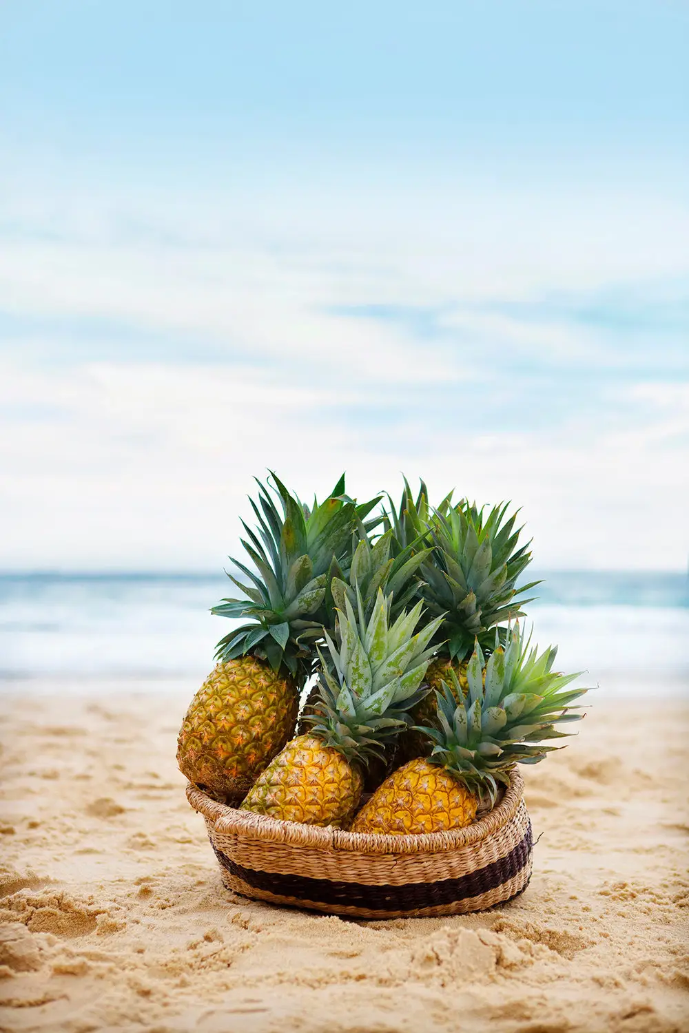 Pineapple Fitness