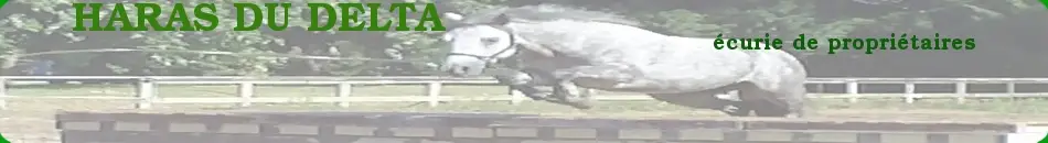 Stud Du Delta