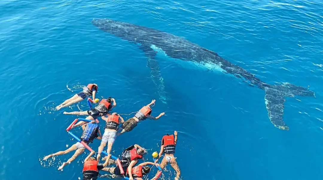 Aqua Adventures