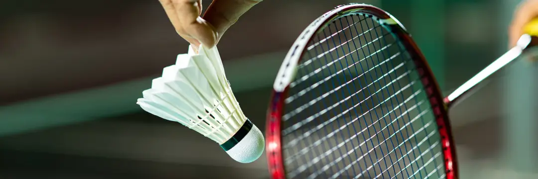 Badminton NSW