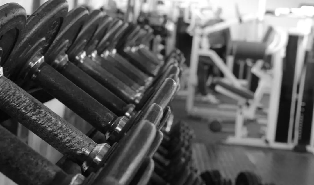 Zeus Gym