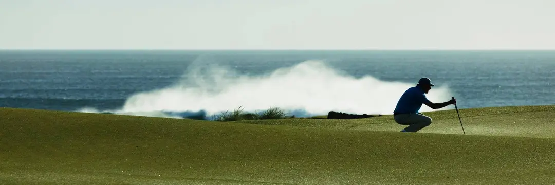 Ocean Dunes 