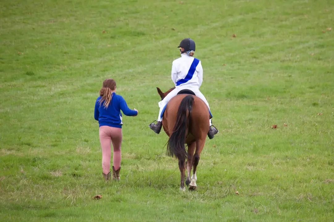 Ringwood Horse & Pony Club