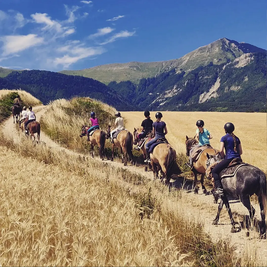 Alpes Cheval : Voyage et Rando équestre