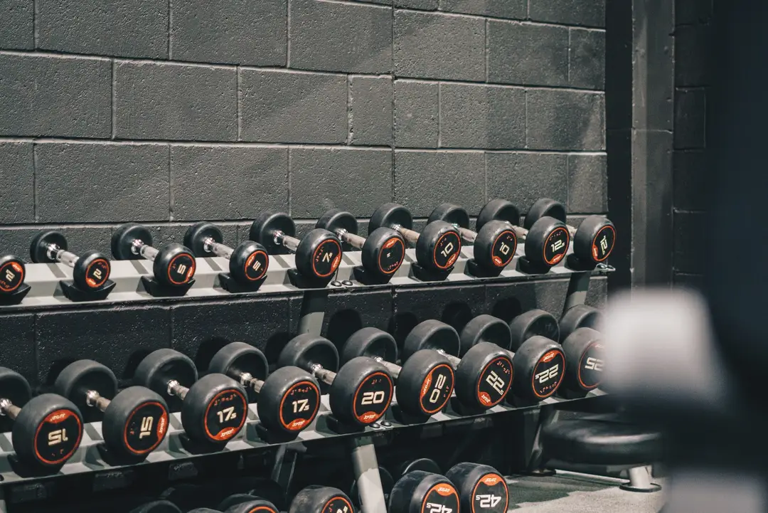Live Fit Gym